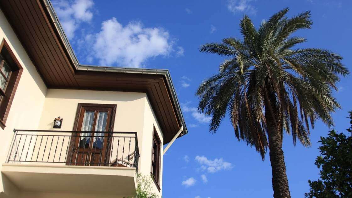 exertiror of a Daytona Beach investment property with a palm tree